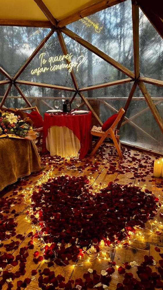 Aura Eco Glamping